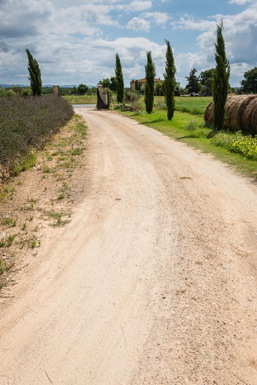 Agriturismo La Segolina Colle di Val d'Elsa Eksteriør billede